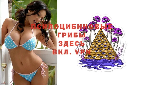 прущая мука Абаза
