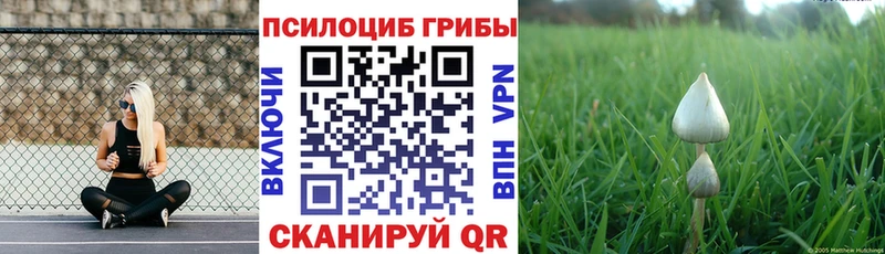darknet телеграм  где купить наркотик  Новоаннинский  Псилоцибиновые грибы ЛСД  blacksprut сайт 