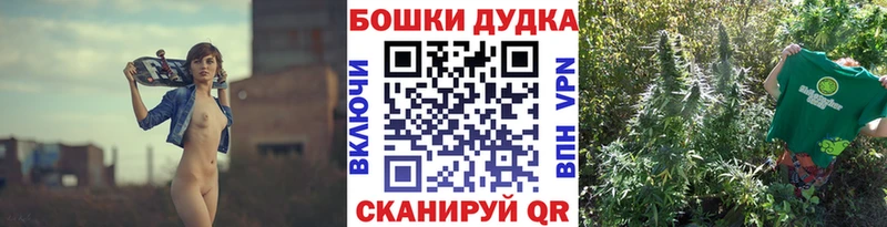 Бошки марихуана планчик  Новоаннинский 